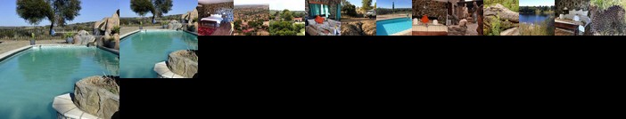Leopard Lodge