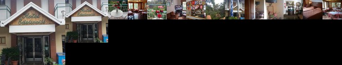 Edelweiss Hotel Pano Platres
