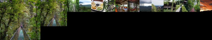 Heliconias Lodge