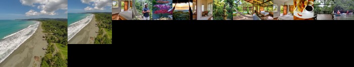 Iguana Lodge