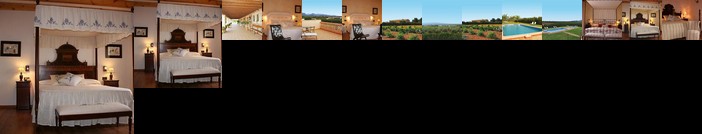 Agroturismo Son Terrades