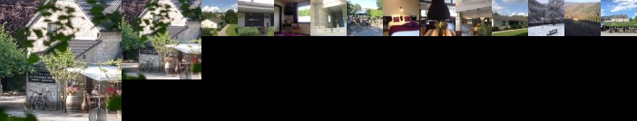 Bonheur Du Fou