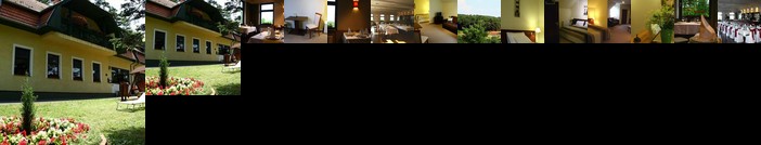 Apat Hotel es Etterem