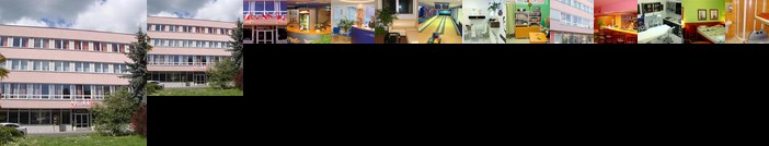 Hotel Steiger
