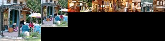 Blue Owl B&B