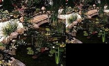 A Fleur D'Eau