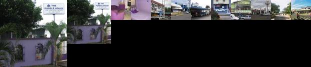 The Purple House International Backpackers Hostel