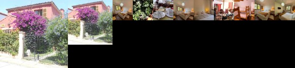 Hostal El Arbol