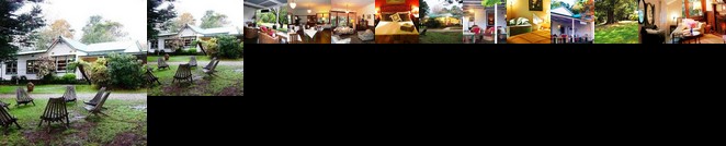 Strathvea B&B Guest House