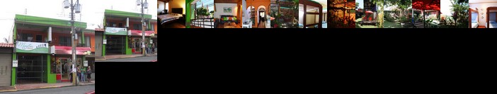 Hostel Mangifera