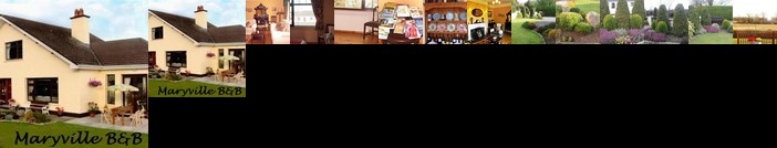 Maryville Bed & Breakfast