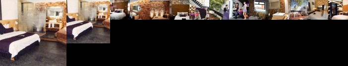 MO17 Hotel Boutique