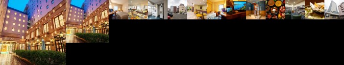 Hotel Ace Morioka