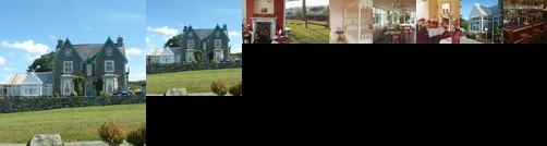 Ael y Bryn Hotel