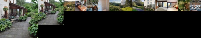 Forest How Guest House