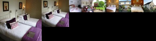 Chetcombe House B&B
