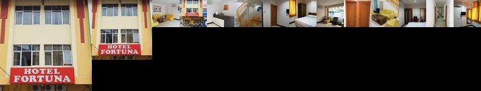 Hotel Fortuna Jambi