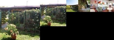 Clematis Holiday House