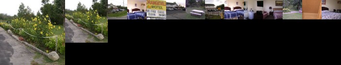 Orangeville Motel