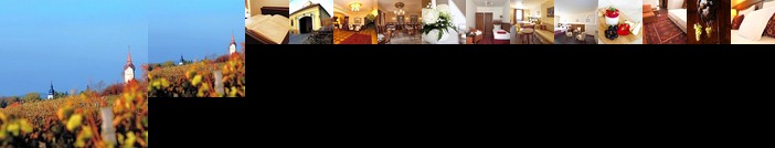 Oroszlanos Borhotel es Vendeglo