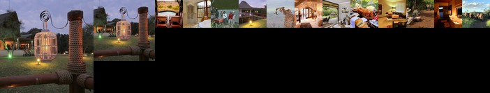 Amakhosi Safari Lodge