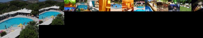 Flora Suites