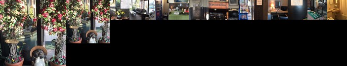 Business Green Hotel