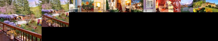 B&B Glicine