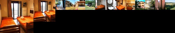 Zisios Studios