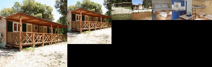 Mobile Homes Colone