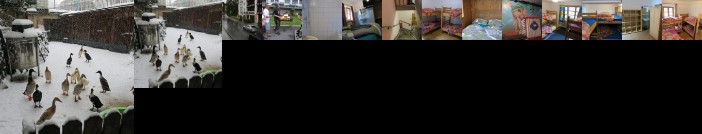 Snowbunnys Backpackers Hostel