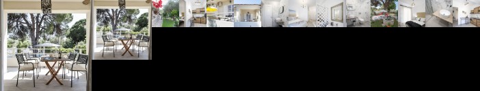 Alexia Studios