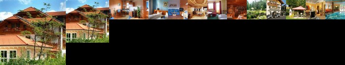 Hotel Brunnenhof Bayerisch Eisenstein