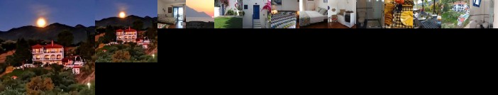 Sartivista