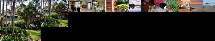 Bellbird Cottage B&B