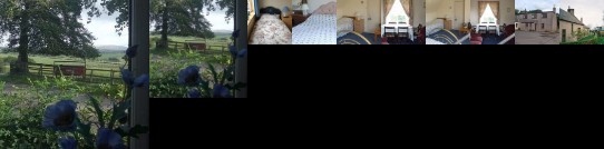 Dykefield Farm B&B
