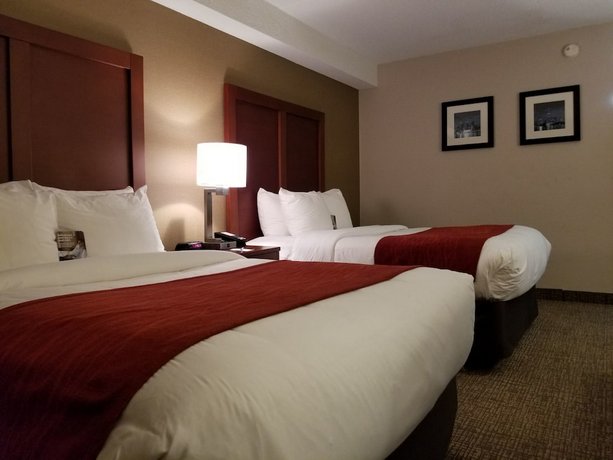 116 Comfort Inn Toronto North 66 Norfinch Drive Toronto