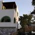 Naxos olive & home